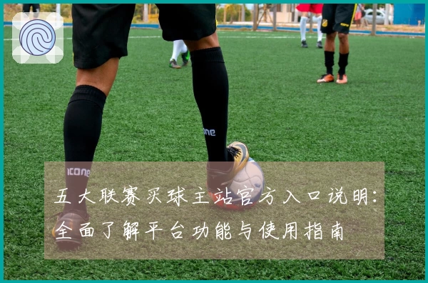 五大联赛买球主站官方入口说明：全面了解平台功能与使用指南