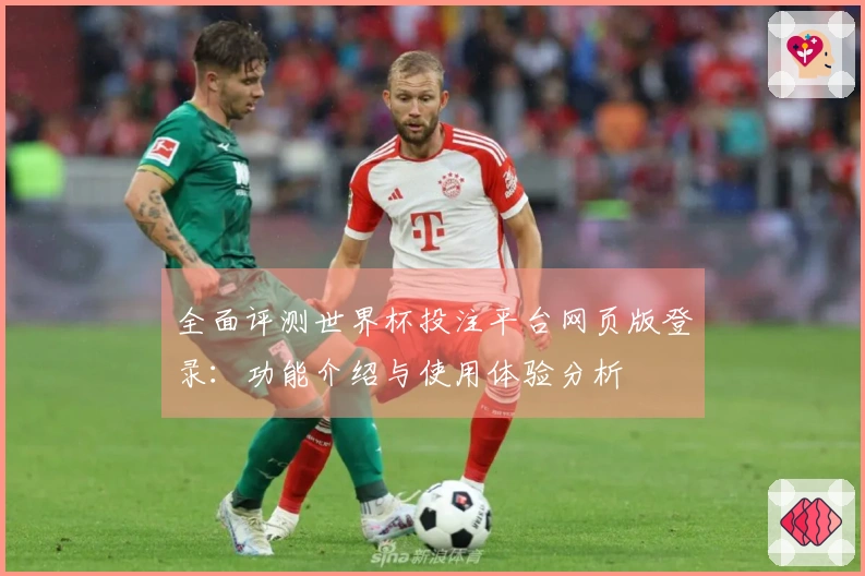 全面评测世界杯投注平台网页版登录：功能介绍与使用体验分析