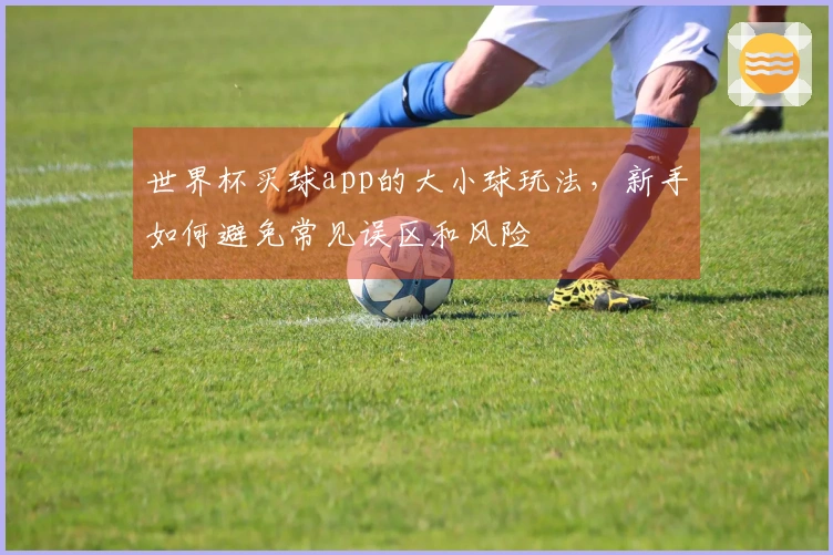 世界杯买球app的大小球玩法,新手如何避免常见误区和风险