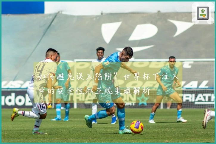 如何避免误入陷阱？世界杯下注入口的安全性和正规渠道解析