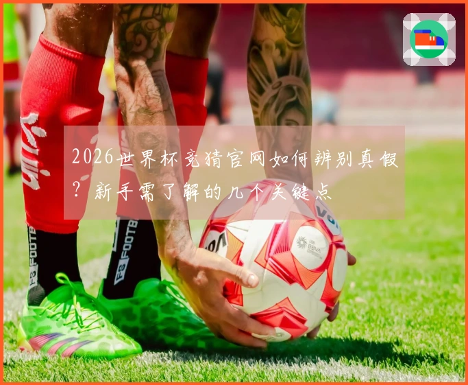 2026世界杯竞猜官网如何辨别真假？新手需了解的几个关键点