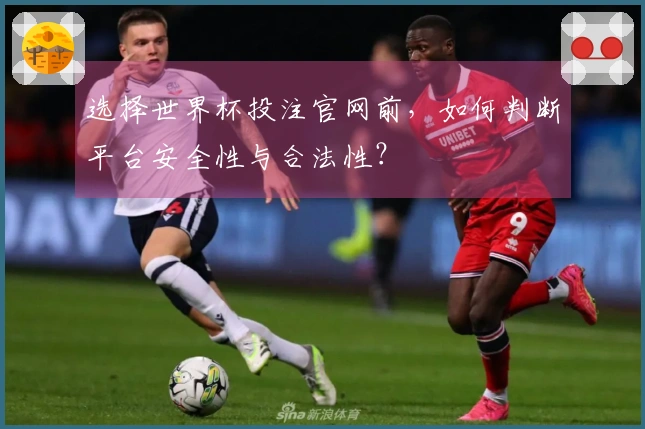 选择世界杯投注官网前，如何判断平台安全性与合法性？