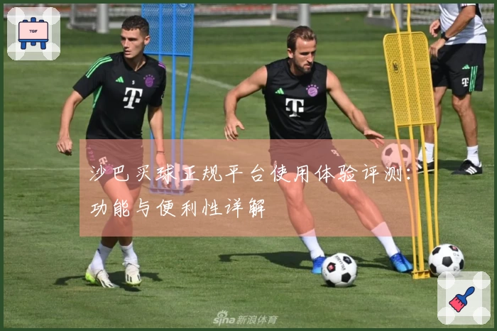 沙巴买球正规平台使用体验评测：功能与便利性详解