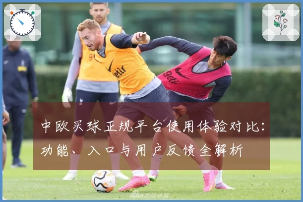中欧买球正规平台使用体验对比：功能、入口与用户反馈全解析