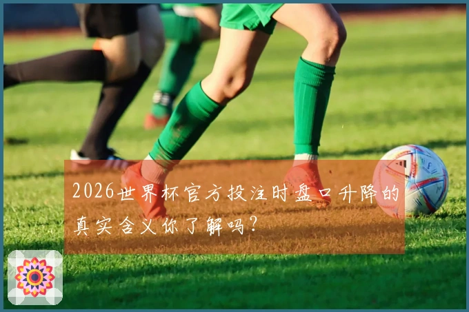 2026世界杯官方投注时盘口升降的真实含义你了解吗？