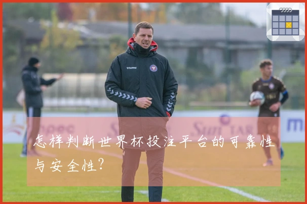 怎样判断世界杯投注平台的可靠性与安全性？