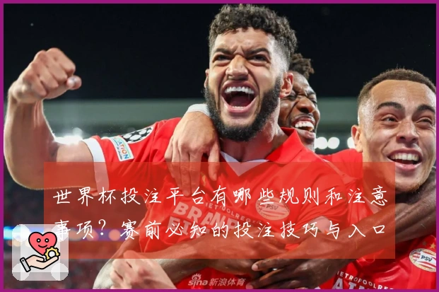 世界杯投注平台有哪些规则和注意事项？赛前必知的投注技巧与入口指南