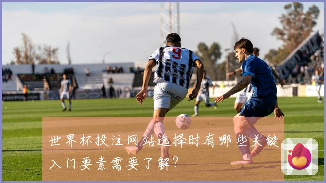 世界杯投注网站选择时有哪些关键入门要素需要了解？