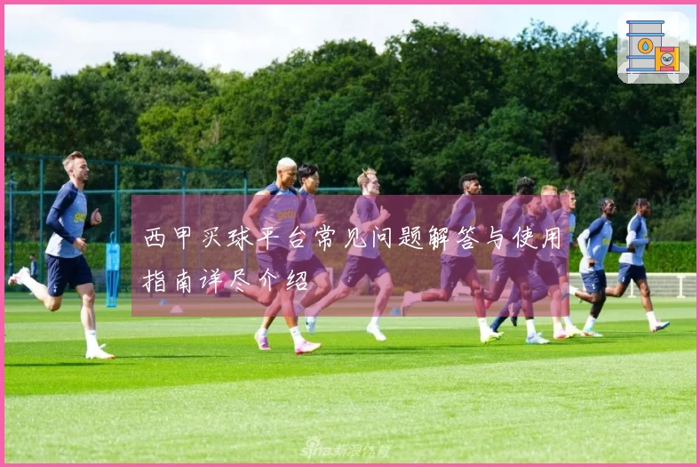 西甲买球平台常见问题解答与使用指南详尽介绍