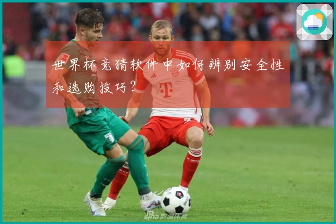 世界杯竞猜软件中如何辨别安全性和选购技巧？